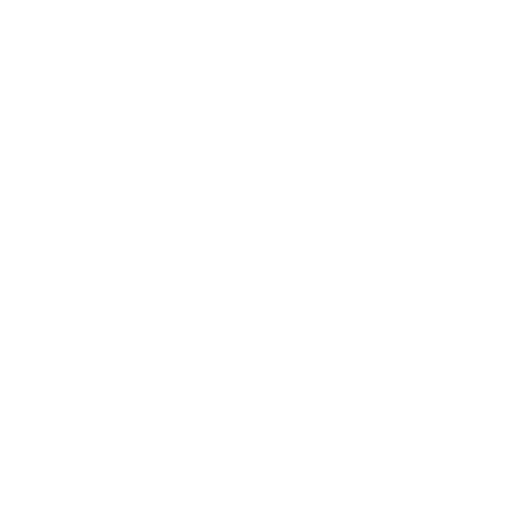 icon spotify